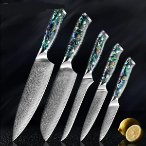 XITUO 1-5 PCS Damascus Steel knife Set Kitchen Cooking Tools Chef Knife Japanese Santoku Boning knife Exquisite Shell Handle
