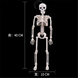 High Quality 40CM Human Anatomical Anatomy Skeleton Model Medical Learn Aid Anatomy human skeletal model